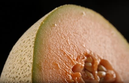 cantaloupe-425x272.jpg
