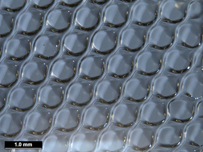 2.-Gelatin-scaffold-of-bioprosthetic-mouse-ovary.jpg