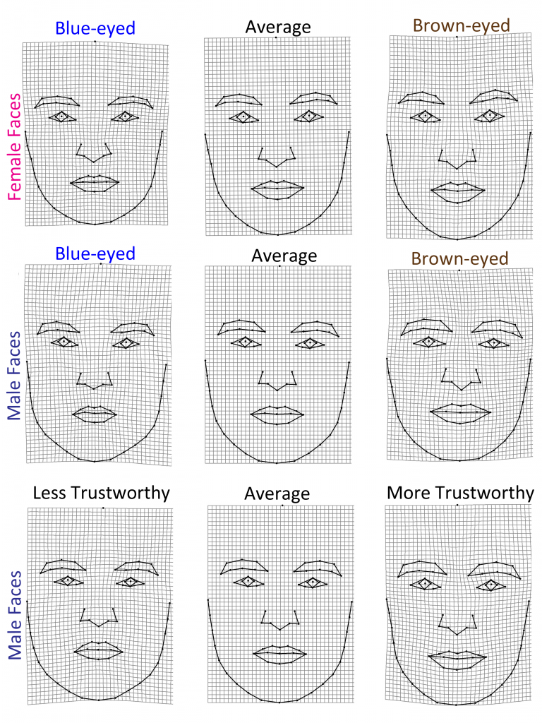 faces_shape_trustworthiness1-768x1024.png
