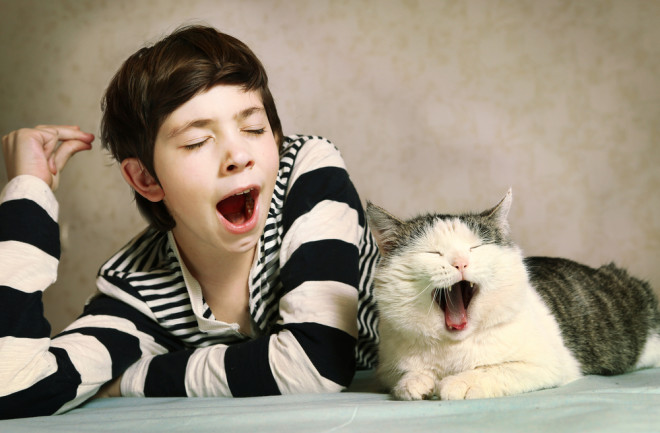 Boy and cat yawning together