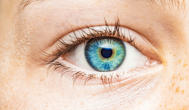 Your Eye Color, Explained