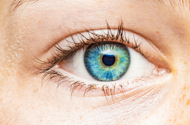 Eye color, Description, Heredity, & Variations