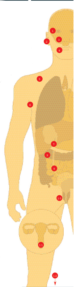 microbesgraphic.jpg