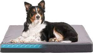 18 best cooling dog beds in 2024