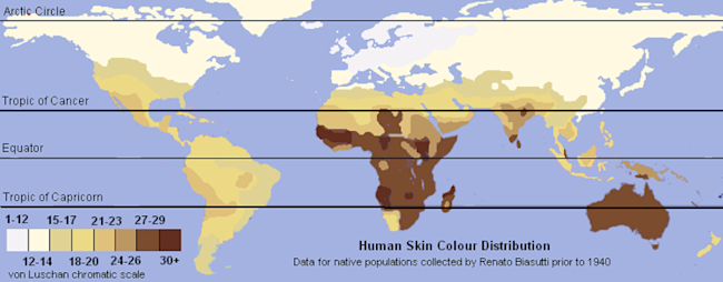 Unlabeled_Renatto_Luschan_Skin_color_map.svg_1.png