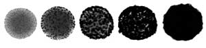 rd_nanoshells.jpg