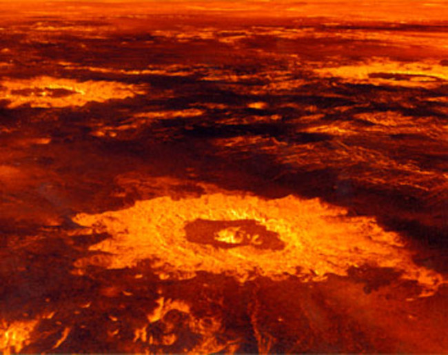 venus.jpg