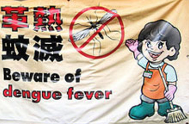 dengue-fever.jpg