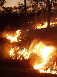 Backburning.jpg