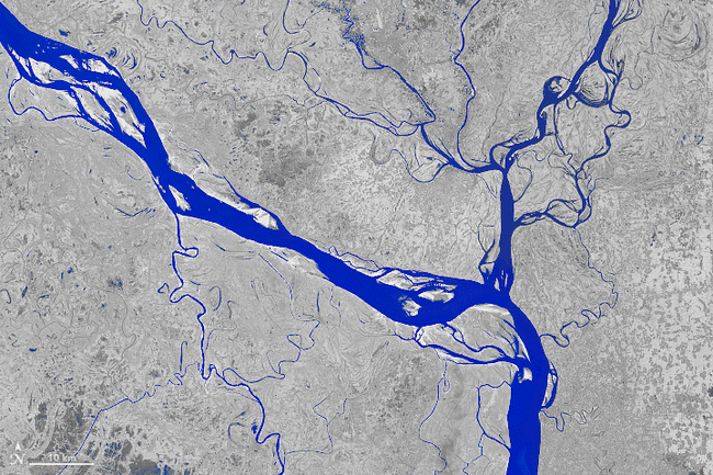 padma_duotone.gif