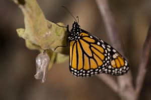 unnamed-300x200.jpg