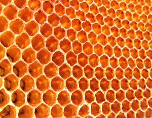 How honeycombs can build themselves
