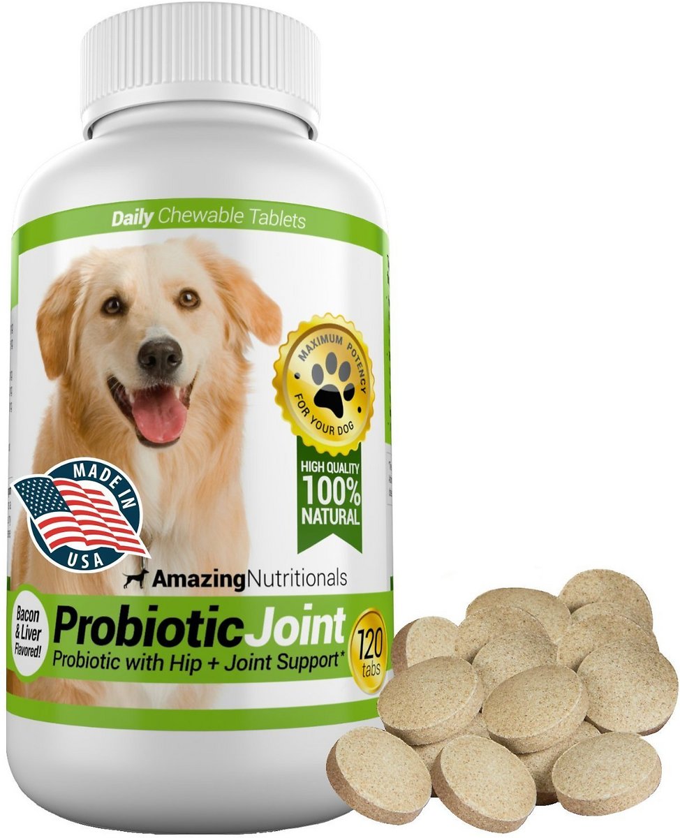 do probiotics make dogs fart