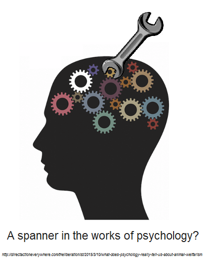 psychology spanner