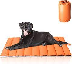 The 6 Best Outdoor Dog Beds of 2023