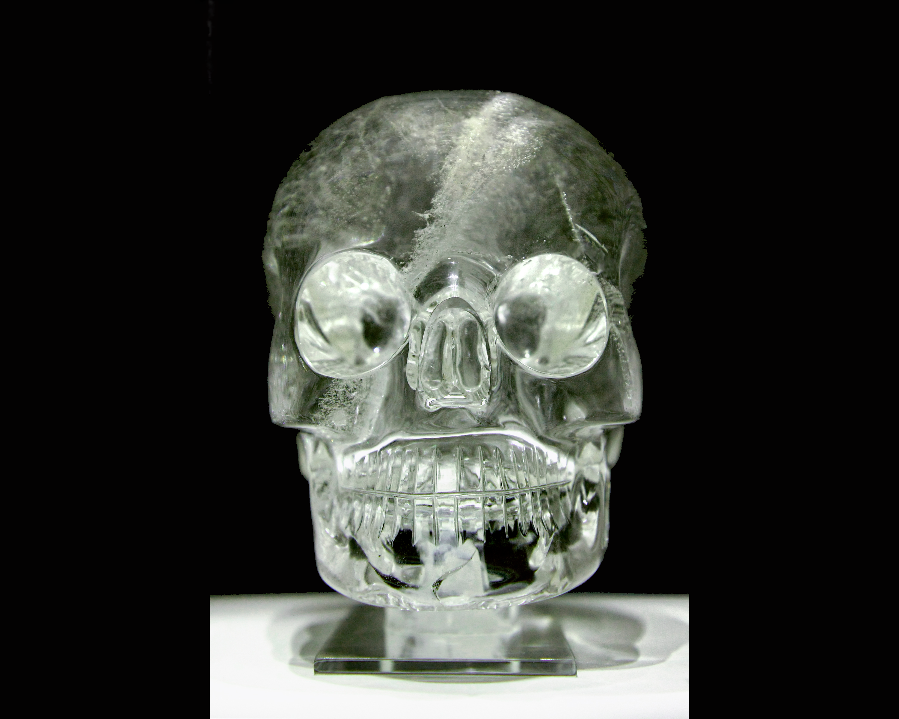 The Fourth Skull: A Tale of Authenticity and Fraud—The Appendix