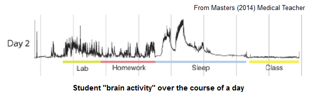 brain_lecture.png