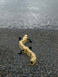 a_badertscher_robot_beach1.jpg