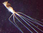 rd_20000.jpg