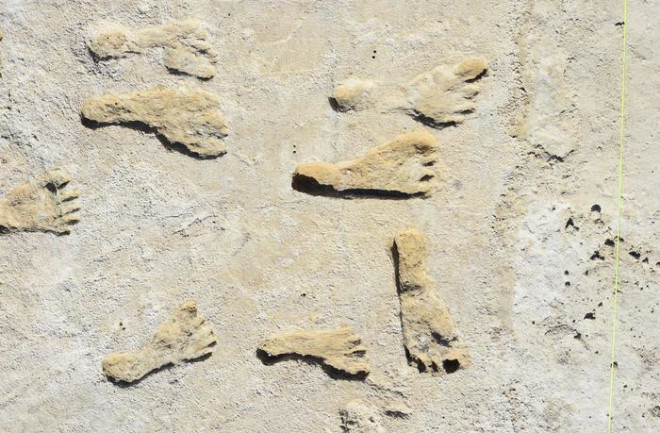 Ancient human fossilized footprints at White Sands National Park