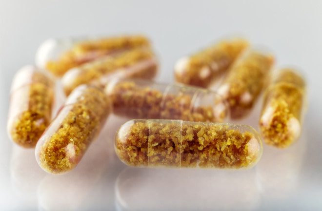 What fecal transplant pills could look like in the future. (Credit: Marc Bruxelle/Shutterstock)