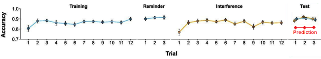 The Theory of Reconsolidation