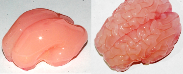 88036432_comparison.png