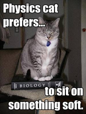 lolphysicscat.jpg