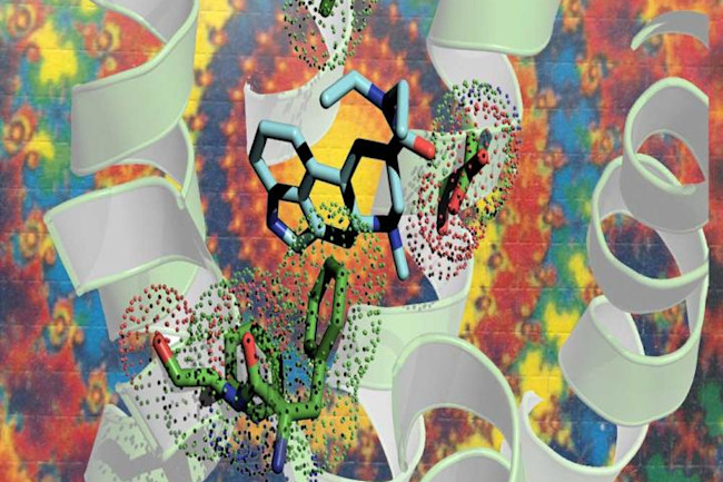 Why Lsd Trips Last So Long And Connect Us To The Universe Discover Magazine