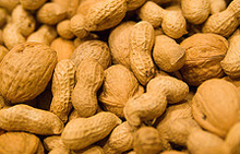 nuts.jpg