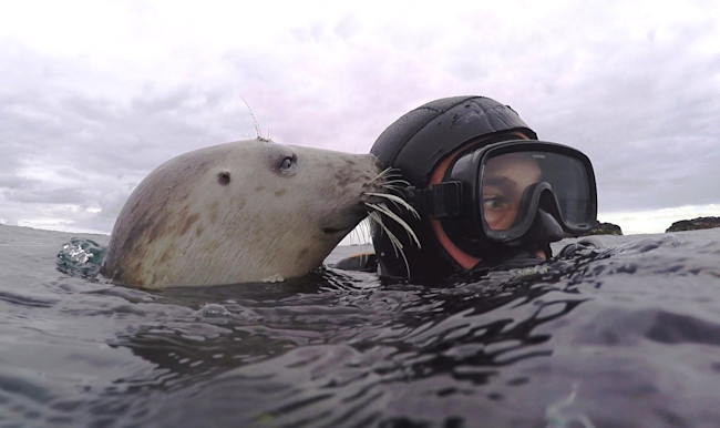 Ben Burville Seal - Courtesy