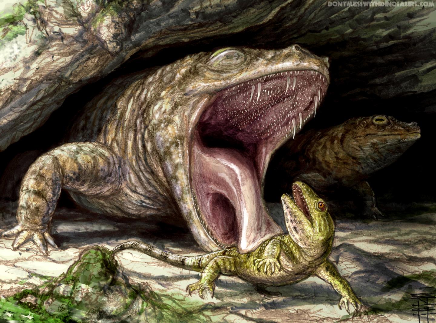 Ancient Frogs Survived Earth’s Greatest Mass Extinction Event by Not Adapting