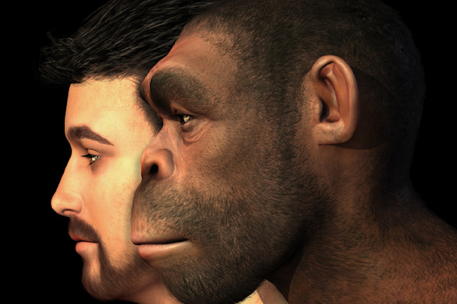 They Don T Make Homo Sapiens Like They Used To Discover Magazine