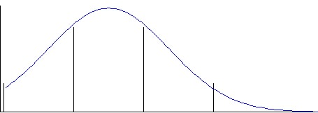 n3.jpg