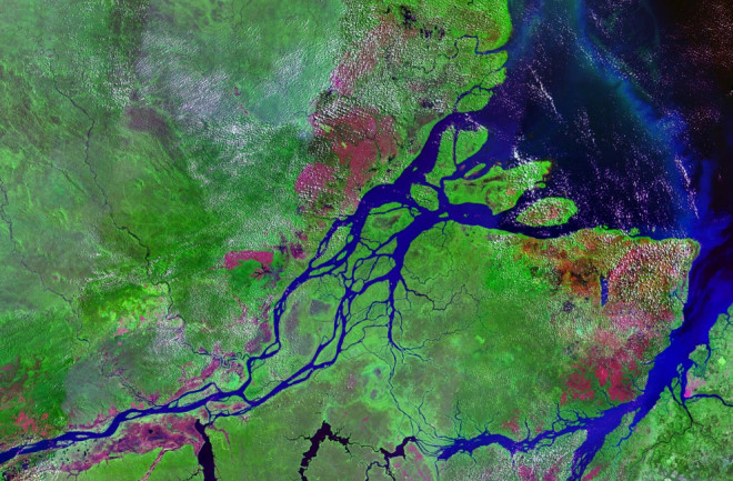 Mouths_of_amazon_geocover_1990.png