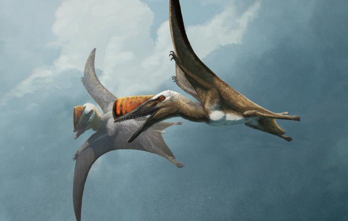 New Flying Lizard Species Fills in Evolutionary Gap for Pterosaurs