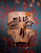 vestigial_skull.jpg