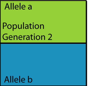 population1gen1genb.jpg