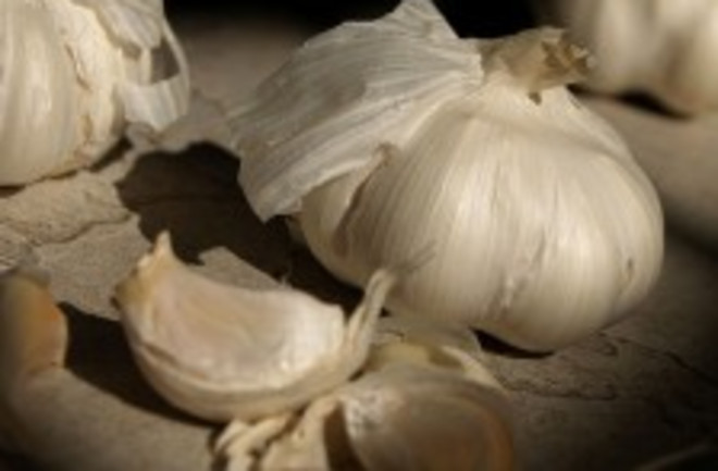 garlic1-225x300.jpg