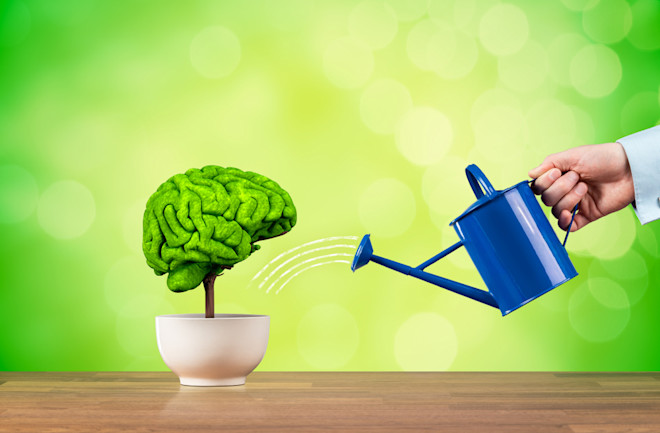 5 Natural Ways You Can Improve Your Memory | Discover Magazine