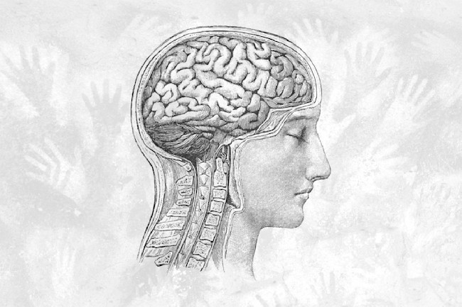 The Human Brain Has Been Getting Smaller Since The Stone Age