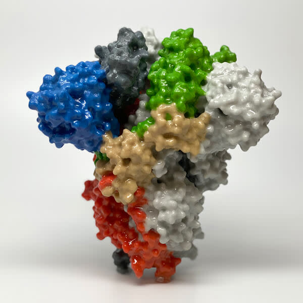 P-covid-19-spike-protein 0