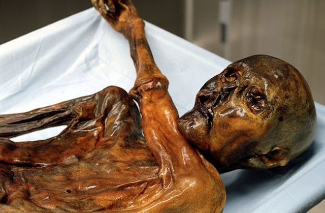 Otzi, Iceman - Wikimedia Commons