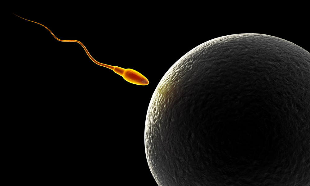 Scientists Grow Working Sperm From Stem Cells Discover Magazine 8114