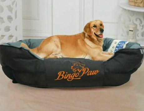 The Best Chew-Proof Dog Bed: 7 Tough Favorites to Try - Vetstreet