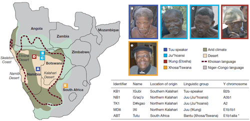 African_genomes.jpg