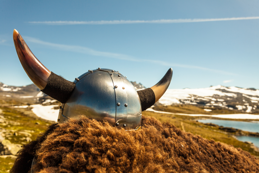 What Language Did the Vikings Speak?