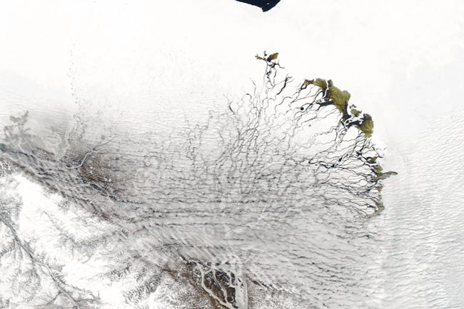 Lena River Delta Melts Out