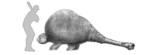 Glyptodont_batter.jpg
