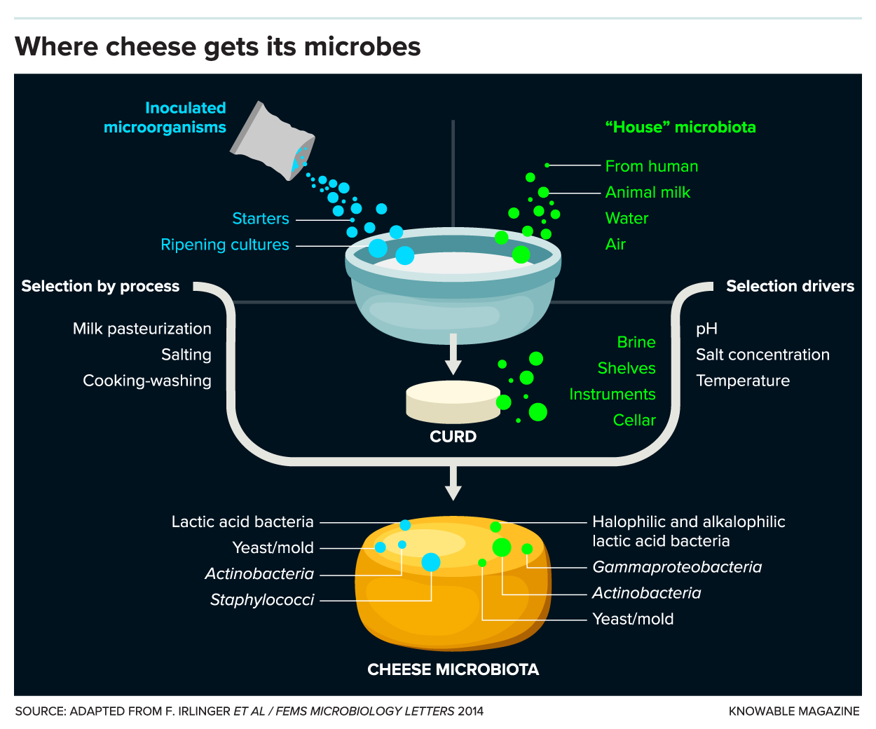 Blessed are the cheesemakers, for they have defined the smidge • The  Register